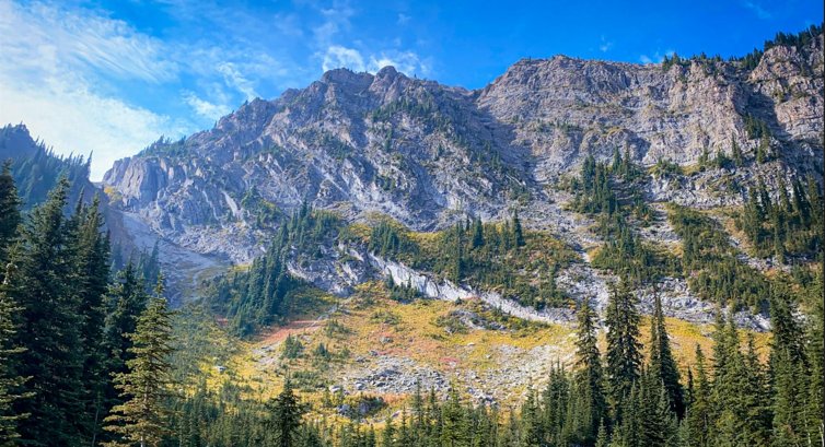 Mountain meadow, British Columbia